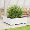 vidaXL Jardini&egrave;re blanc 80x80x26,5 cm bois de pin massif