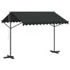 vidaXL Auvent sur pied 300 x 300 cm Anthracite