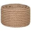 vidaXL Corde 100 % jute 20 mm 100 m