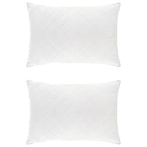 vidaXL Oreiller FULDA 2 pc 70 x 90 cm 100% duvet d'oie et plumes Blanc