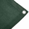 vidaXL Tapis de tente 300 x 500 cm PEHD Vert