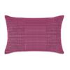 vidaXL Jeu de coussin lot de 2 Velours 40 x 60 cm Rose