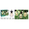 ProGarden Guirlande de f&ecirc;te d'ext&eacute;rieur 10 LED 7,5 m