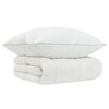 vidaXL Ensemble de couette 90 % en duvet d&rsquo;oie FULDA 2 pc 155 x 200 cm