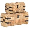 vidaXL Coffres de rangement 2 pcs Bois de manguier massif