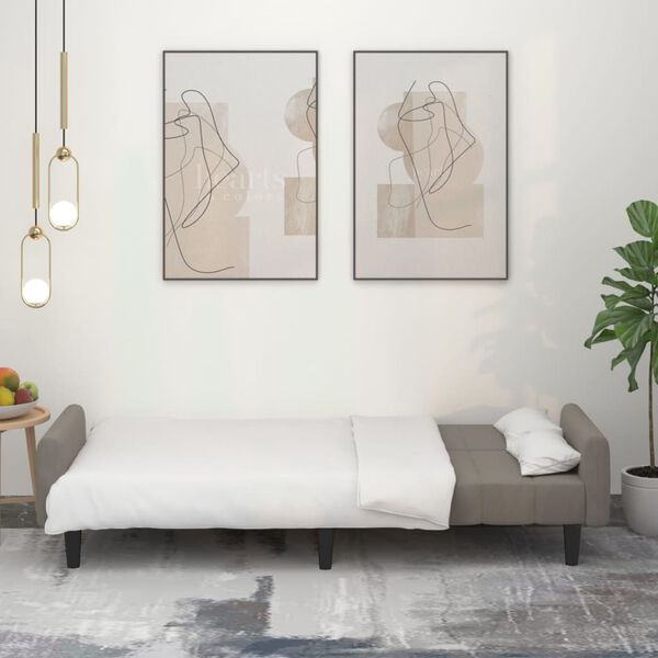 vidaXL Canap&eacute;-lit &agrave; 2 places Gris clair Velours