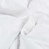 vidaXL Duvet d'hiver Blanc 200 x 240 cm Plume