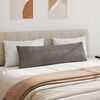 vidaXL Coussins de canapé 2 pcs Gris clair 145 x 40 cm