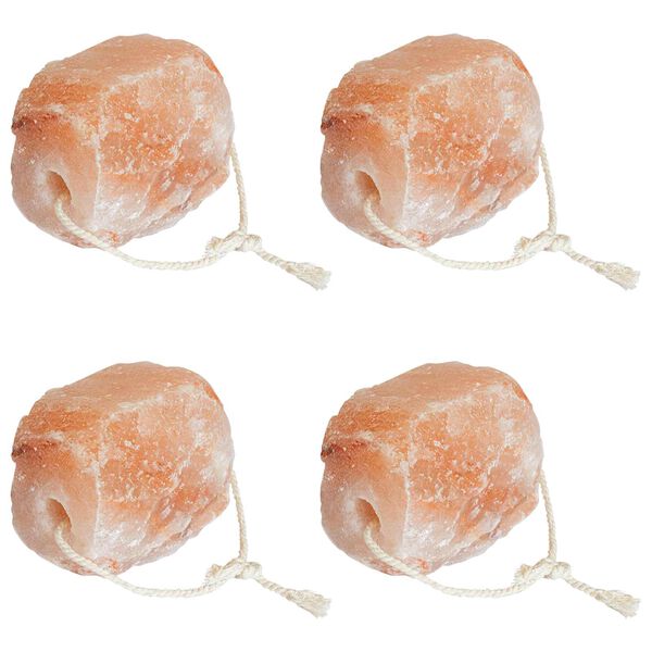 vidaXL Pierres &agrave; L&eacute;cher en Sel Rose Sel de Roche