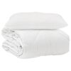 vidaXL Couette avec oreiller 2 pi&egrave;ces Blanc Microfibre