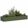 Olive_green