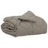 vidaXL Duvet d'&eacute;t&eacute; simple 220 x 135 cm &Eacute;t&eacute; 200 gsm Gris clair