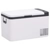 vidaXL Glaci&egrave;re avec poign&eacute;e noir et blanc 25 L PP et PE