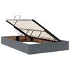 vidaXL Lit avec rangement et matelas Gris fonc&eacute; 120 x 200 cm Velours