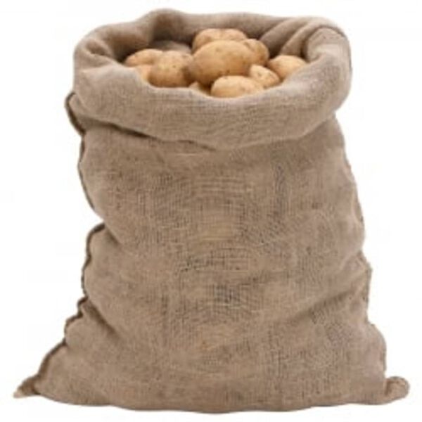 vidaXL Sacs en jute 30 pcs 60x105 cm 100 % jute 220 g/m&sup2;