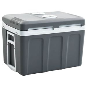 vidaXL Glaci&egrave;re portable thermo&eacute;lectrique 40 L 12 V 230 V E