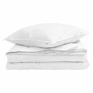 vidaXL Duvet 2-en-1 avec oreiller 2 pcs Blanc Plume de canard