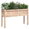 vidaXL Jardinières avec pieds 110x31x70 cm bois de pin massif
