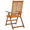 vidaXL Chaises inclinables de jardin lot de 2 Bois solide d'acacia