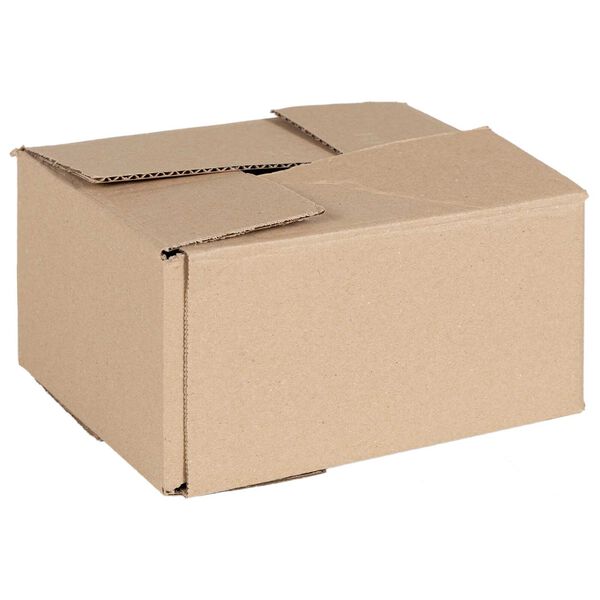 vidaXL Boîte Pliable 50 pcs Naturel 20 x 15 x 10 cm Carton