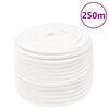 vidaXL Corde de bateau Blanc complet 14 mm 250 m polypropyl&egrave;ne