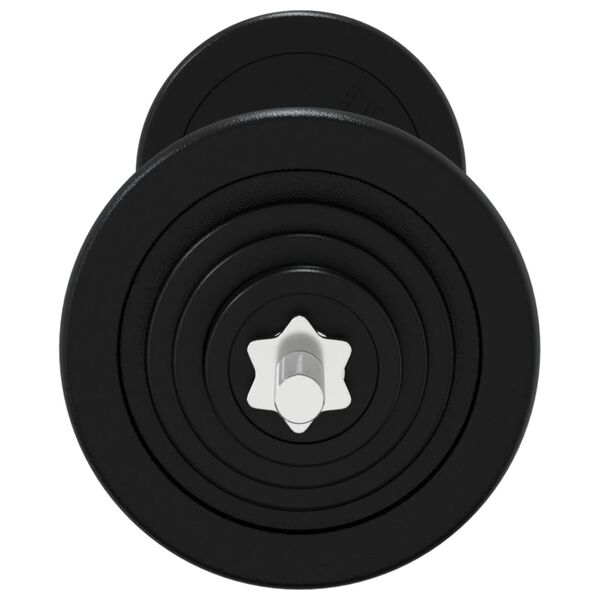 vidaXL Barre d'halt&egrave;res avec plaques 60 kg fonte et acier chrom&eacute;