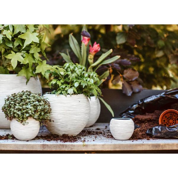 Capi Ensemble de pot de fleurs boule Nature Rib Ivoire