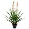 vidaXL Plante artificielle Orchid&eacute;e Cymbidium avec pot 100 cm Vert