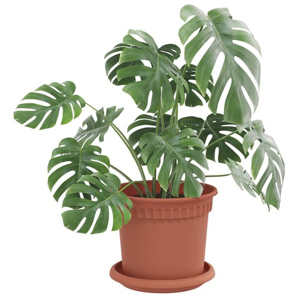 vidaXL Plateau &agrave; fleurs rond 24 pcs Rouge brique &Oslash; 14 x 2 cm Plastique