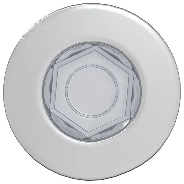 vidaXL Vis &agrave; t&ecirc;te cap 2900 pcs Argent&eacute; Acier