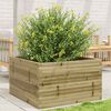 vidaXL Jardini&egrave;re 80x80x46 cm bois de pin impr&eacute;gn&eacute;