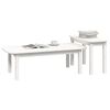 vidaXL Ensemble de tables basses 2 pcs Blanc Bois massif de pin