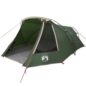 vidaXL Tente Tunnel 3 Personnes 3 personne Vert et blanc