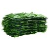 vidaXL Écran de balcon avec feuilles vert 400x150 cm
