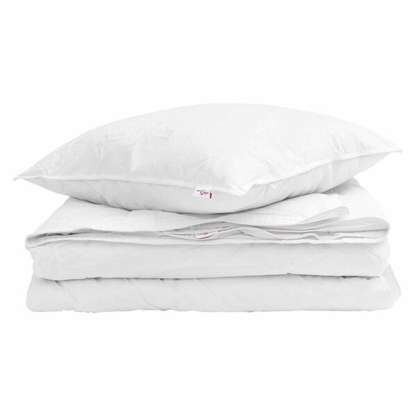 vidaXL Duvet 2-en-1 avec oreiller 2 pcs Blanc Plume de canard