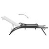 vidaXL Chaises longues lot de 2 Textil&egrave;ne et acier