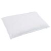 vidaXL Oreiller avec oreiller 2 pcs Blanc 60 x 80 cm Plume