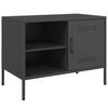 vidaXL Meuble TV noir 68x39x50,5 cm acier