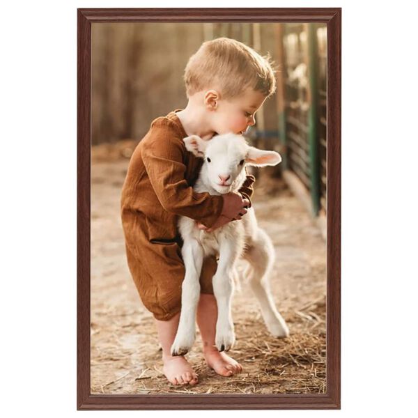 vidaXL Collage de cadres photo 5 pcs de table Marron 21x29,7 cm MDF