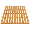 vidaXL Tapis de bain Uni Marron 100 x 53 cm bois
