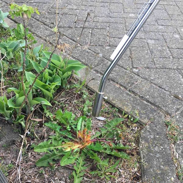 Hozelock D&eacute;sherbeur thermique &agrave; gaz