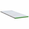 vidaXL Surmatelas Blanc et vert 70 x 200 cm Tissu Jacquard