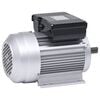 vidaXL Moteur monophas&eacute; Aluminium 2,2kW/3 CH 2 p&ocirc;les 2800 tr/min