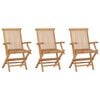 vidaXL Chaises pliantes 3 pi&egrave;ces en teck massif