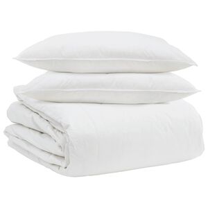 vidaXL Ensemble de Duvet avec oreiller 3 pcs Blanc Plume de canard