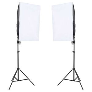 vidaXL Lampes de studio professionnelles 2 pcs 40x60 cm