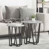 vidaXL Ensemble de tables d'appoint 2 pcs Gris Sonoma et noir