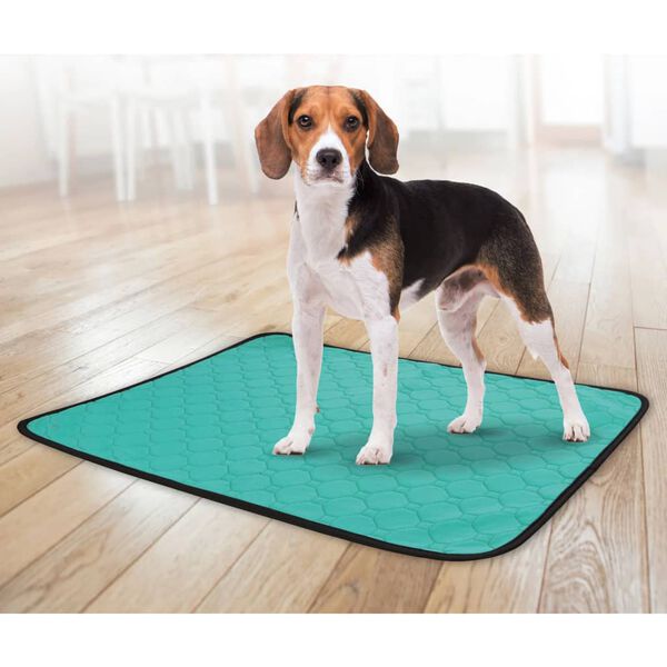FLAMINGO Tapis de dressage antid&eacute;rapant lavable Patsy L Vert
