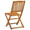 vidaXL Chaises pliables d'extérieur lot de 2 Bois d'acacia solide