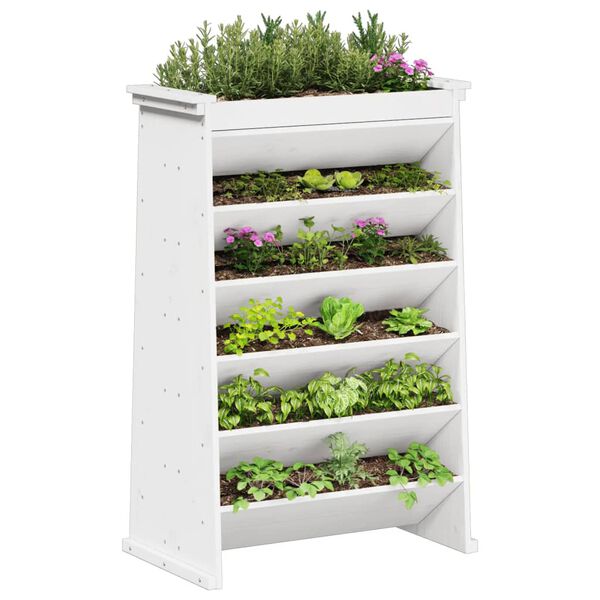 vidaXL Jardini&egrave;re de plantes aromatiques 6 niveaux blanc pin massif